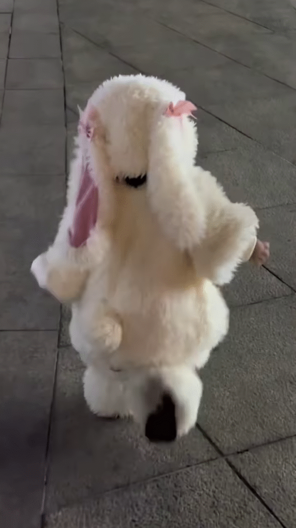 Fluffy Animal-Themed Kids' Costumes 🐰🦈🦕 – Bunny, Shark & Dino Variants - Image 2